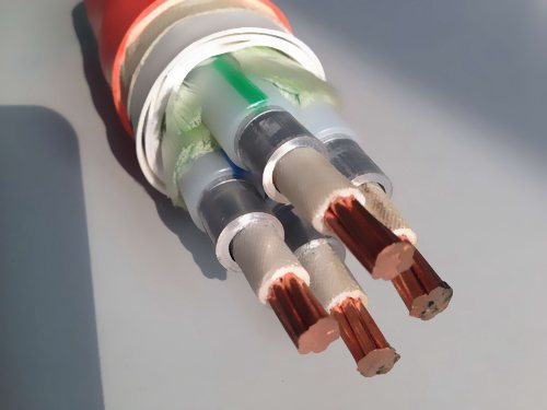 �͟��o(w��)�u������|